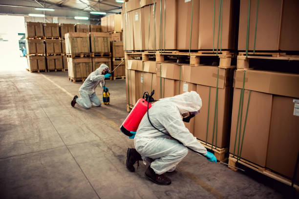 Best Bed Bug Extermination  in Newport, MN