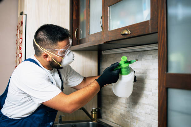 Best Mosquito Control Services  in Newport, MN