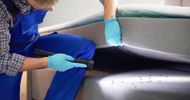 Best Termite Control Services  in Newport, MN