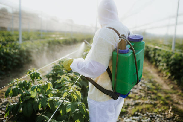 Best Pest Control Near Me  in Newport, MN